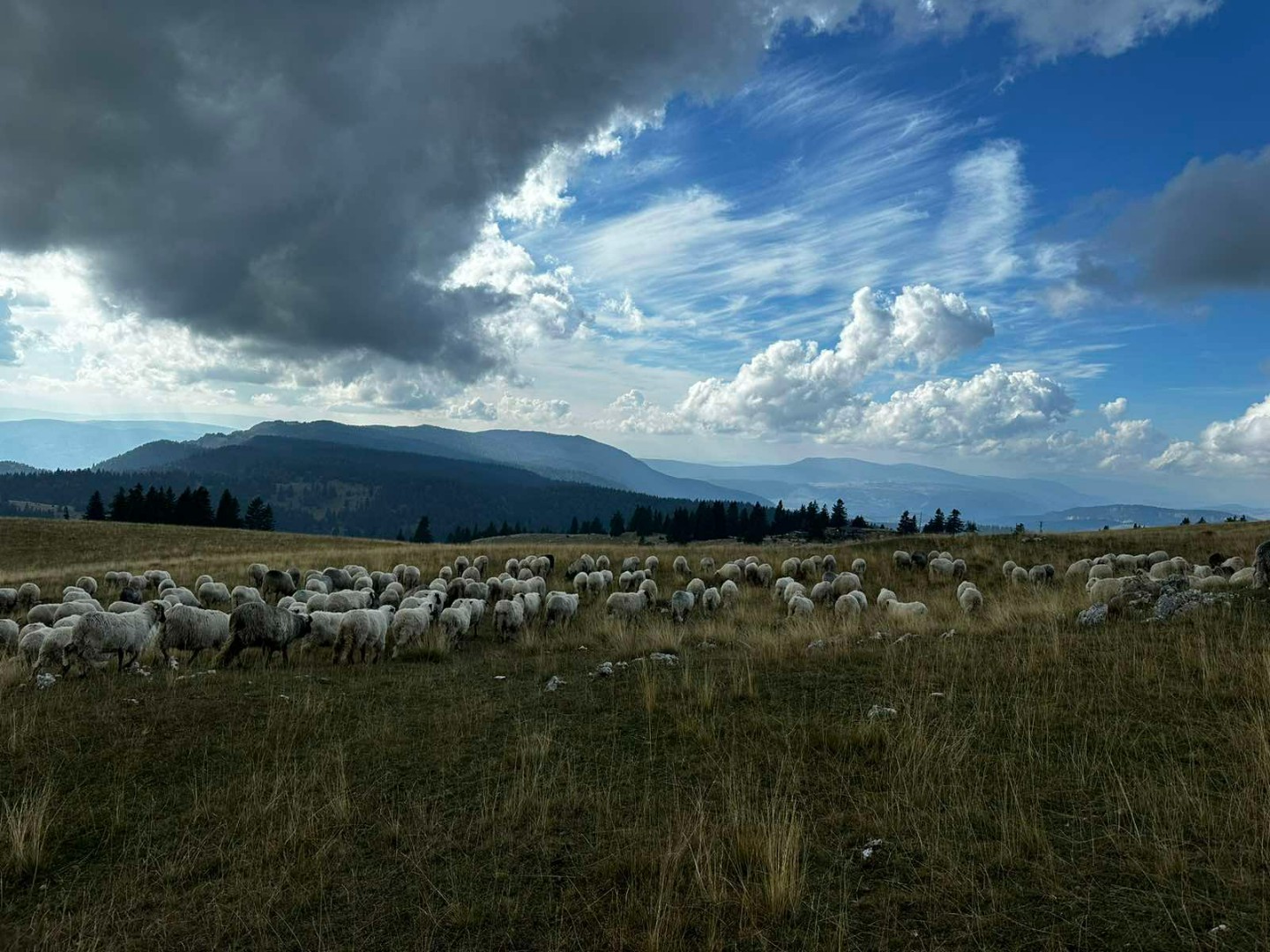 U BiH sunčano uz malu oblačnost, temperature do 30 stepeni