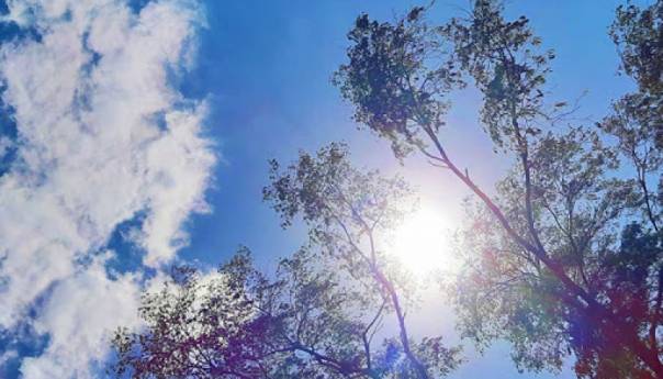 U BiH sunčano uz malu oblačnost, temperature do 18 stepeni