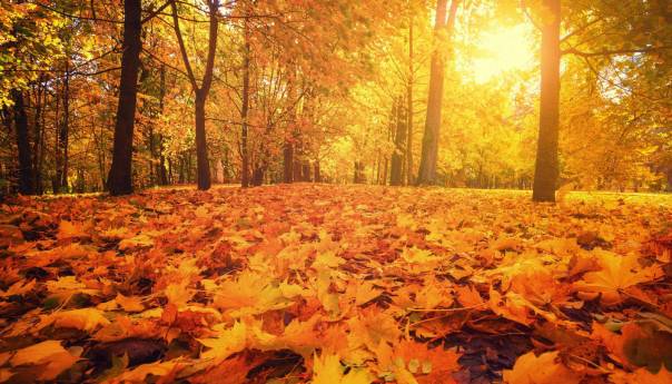 U BiH sutra sunčano uz umjerenu oblačnost