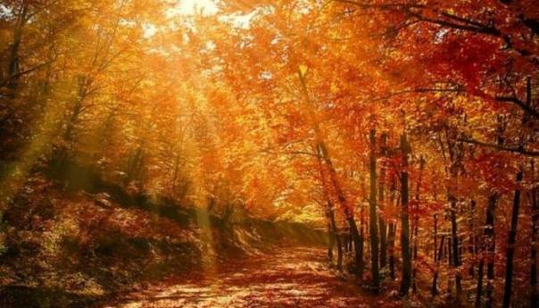 U BiH sutra sunčano vrijeme, na jugu zemlje do 26 stepeni