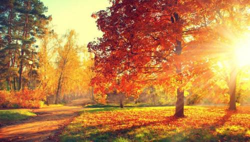 U BiH tokom dana i u večernjim satima kiša i lokalni pljuskovi