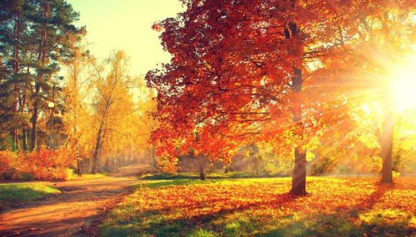 U BiH tokom dana i u večernjim satima kiša i lokalni pljuskovi