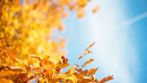 U BiH umjereno oblačno i sunčano, oblaci i kiša narednih dana