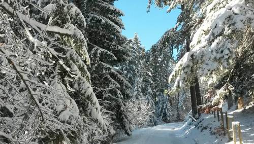 U BiH umjereno oblačno, postepeno naoblačenje u drugoj polovini dana