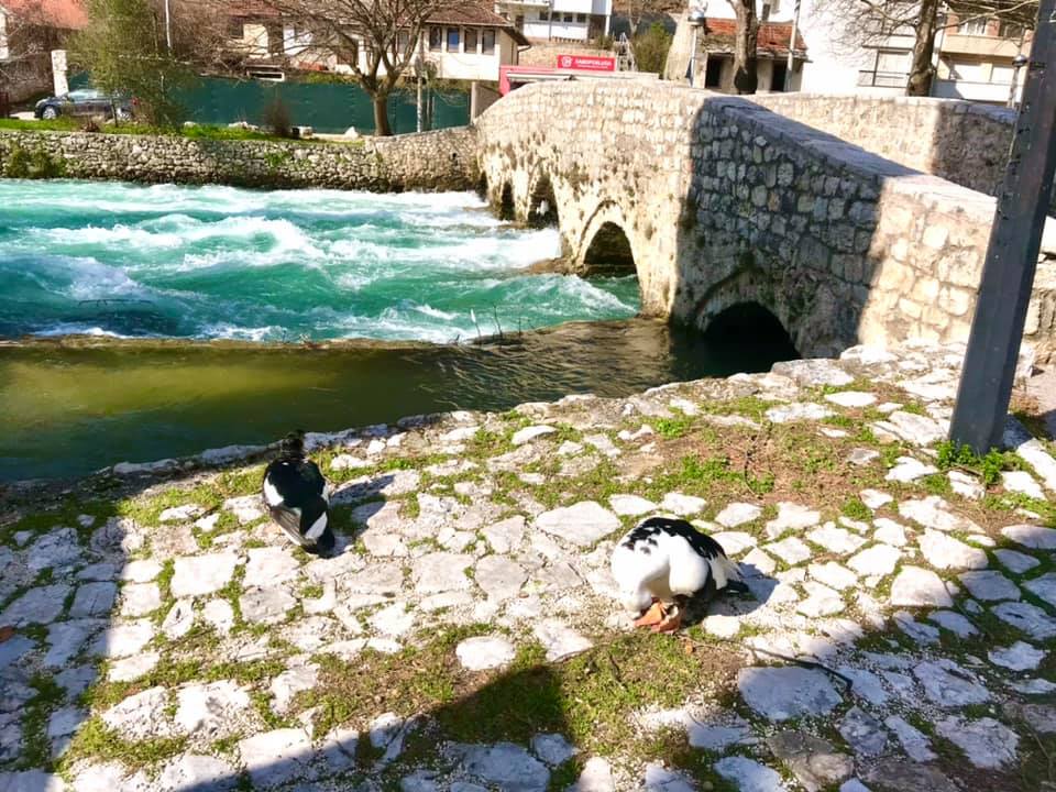 U Bosni oblačno, u Hercegovini pretežno sunčano