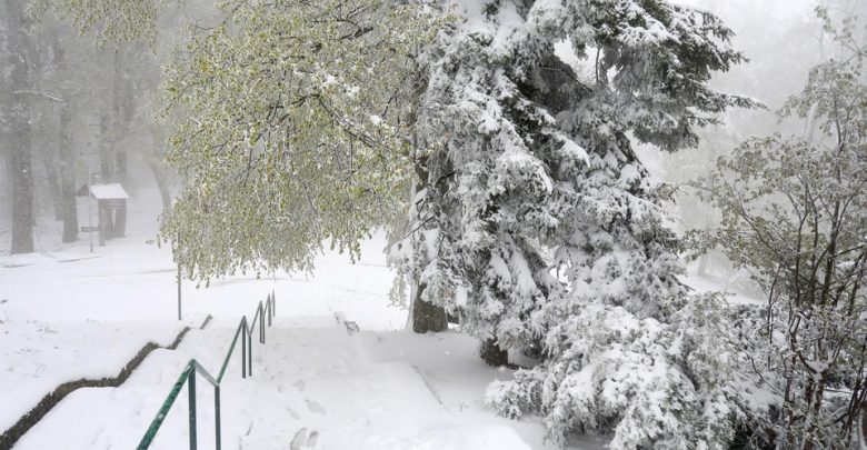 U Bosni oblačno sa snijegom, Hercegovina vedra sa burom
