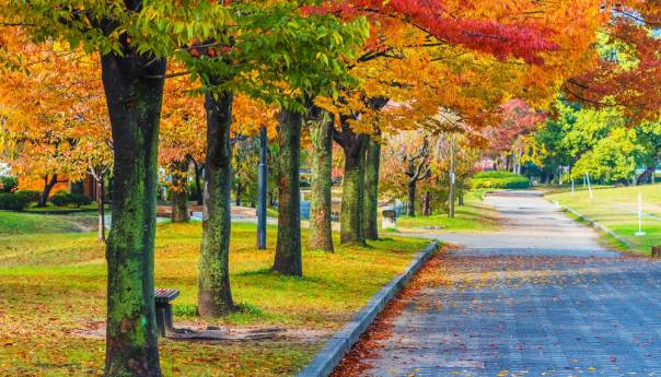 U Bosni po kotlinama i uz riječne tokove magla, u ostatku BiH pretežno sunčano