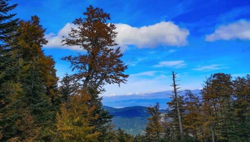U Bosni pretežno oblačno, u Hercegovini vedro