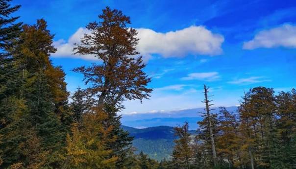 U Bosni pretežno oblačno, u Hercegovini vedro