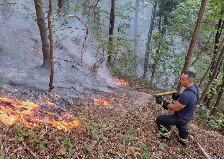 U Brčkom zbog visokih temperatura i nesavjesnih građana česti požari