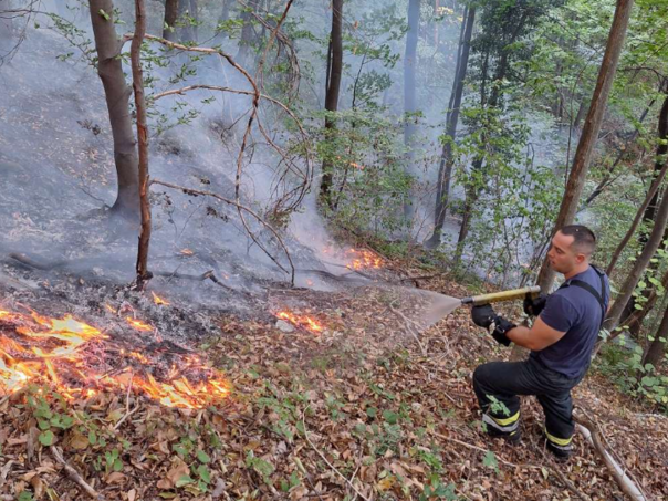 U Brčkom zbog visokih temperatura i nesavjesnih građana česti požari