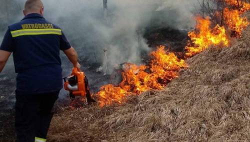 U Čapljini izgorjeli plastenik i vinograd, požar zaprijetio i kućama