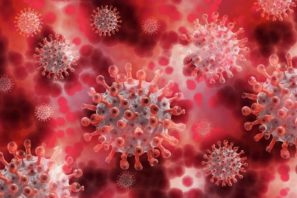 U Crnoj Gori 60 novih slučajeva koronavirusa