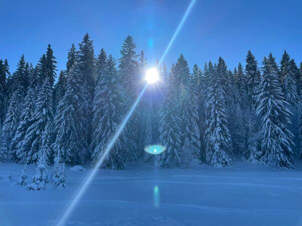 U Crnoj Gori jutros kao u Sibiru - minus 27,7 stepeni