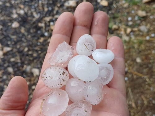 U Črnomlju drvo palo na šator i povrijedilo dvije osobe