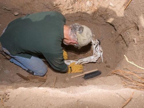 U Danskoj otkrivena grobnica iz 10. stoljeća prepuna blaga