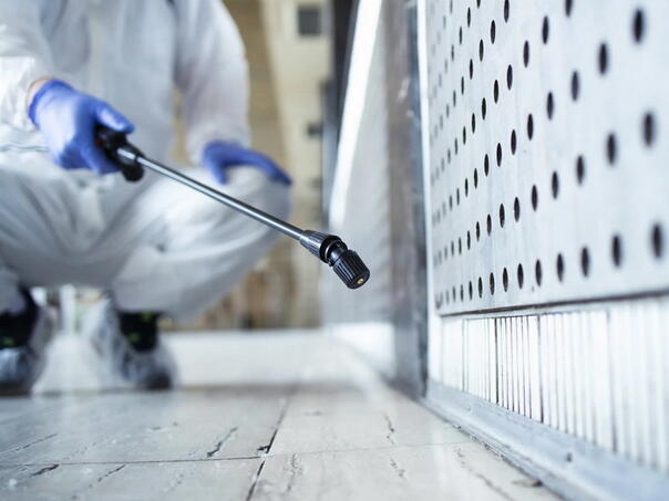 U dijelovima Sarajeva od večeras kreće dezinsekcija, cilj eliminacija žohara na kritičnim tačkama