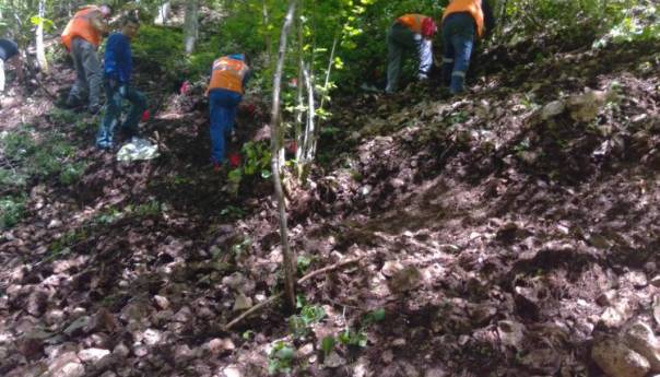 U Dobrom Polju ekshumirani posmrtni ostaci najmanje pet osoba