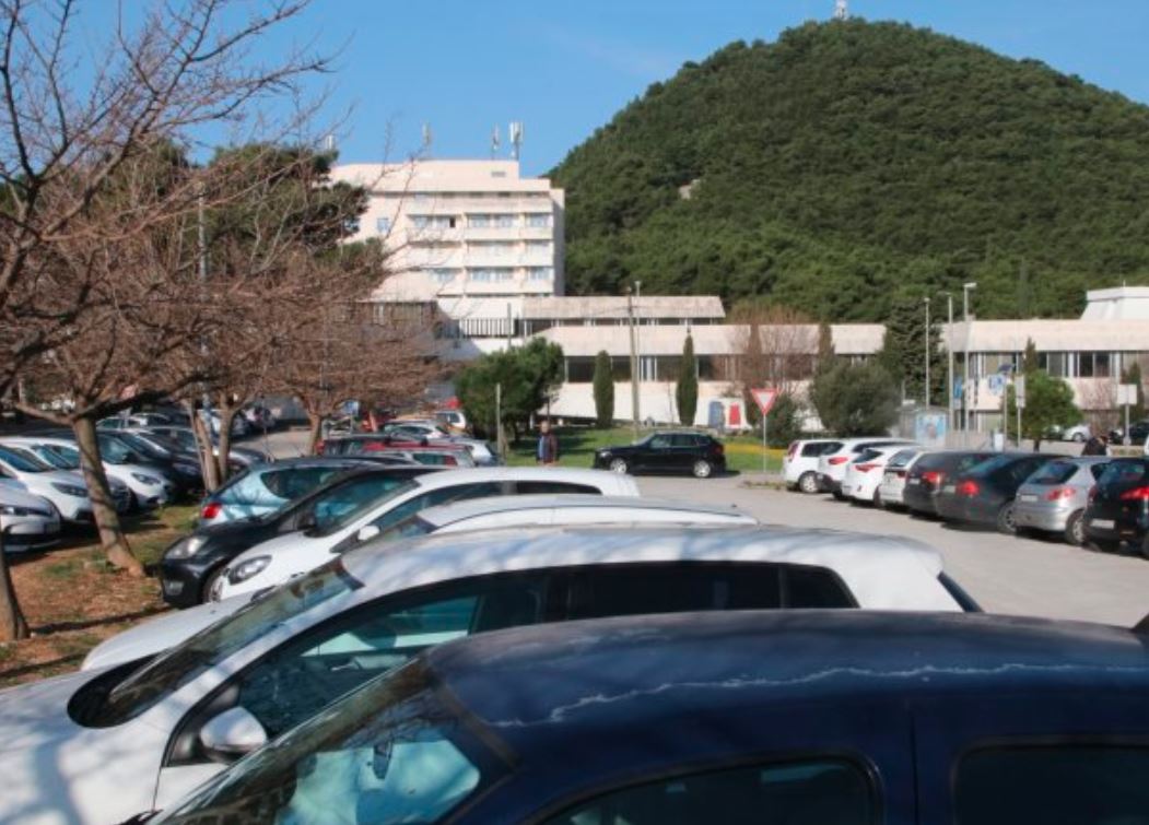 U Dubrovniku zabilježeni slučajevi šuge