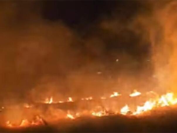 U Gacku izbio požar, vatra zaprijetila kućama