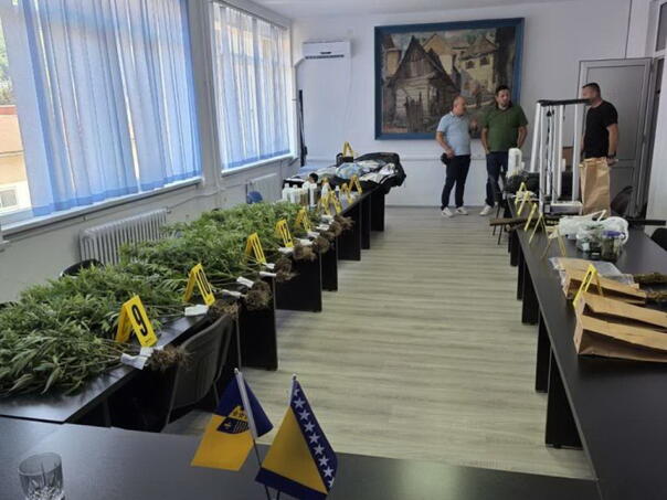 U Goraždu otkrivena laboratorija za uzgoj marihuane