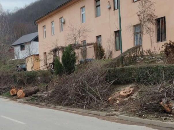 U Goraždu uklonjena oboljela i trošna stabla