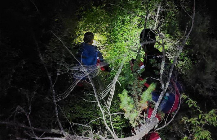 U Gornjem Vakufu nestala 15-godišnja djevojčica, spasioce napao medvjed