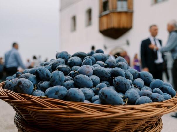 U Gradačcu danas otvaranje 52. Sajma šljive