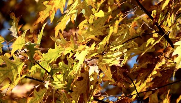U Grudama i Mostaru danas 20 stepeni, sutra oblačno vrijeme u cijeloj zemlji