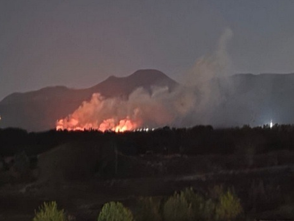 U Hercegovini planuo veliki požar, vatrogasci cijelu noć bili na terenu
