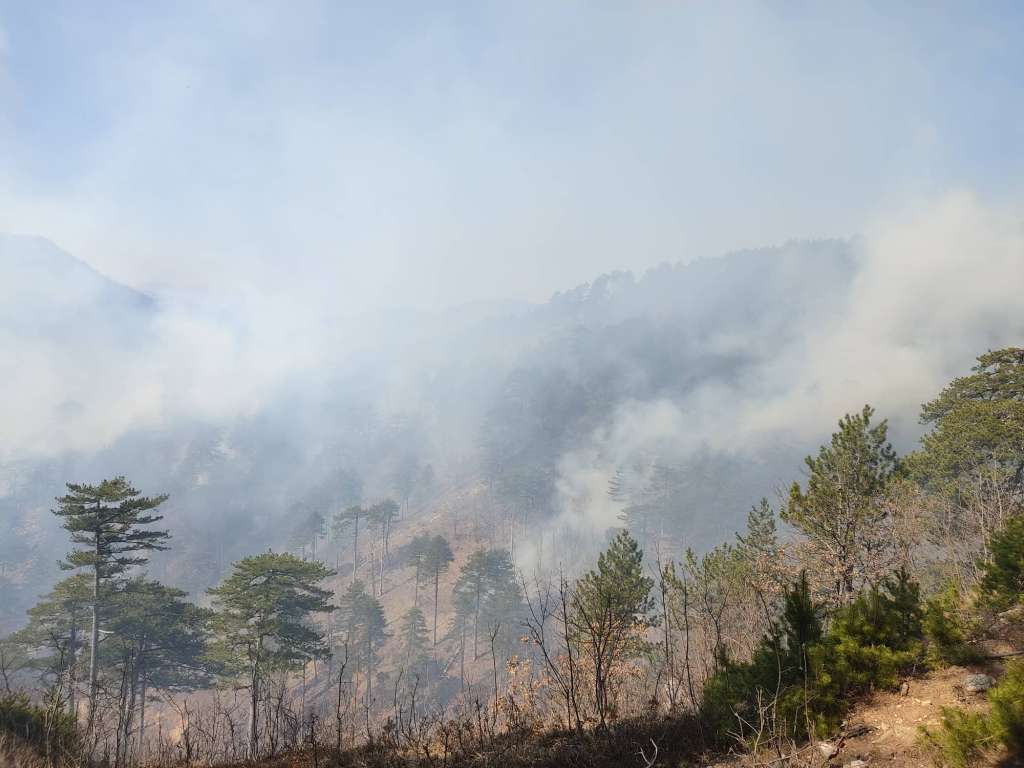 U HNK aktivno pet požara, tri u Konjicu