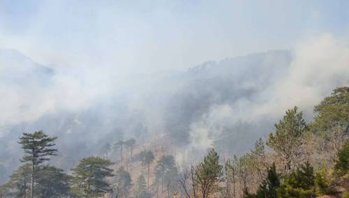 U HNK aktivno pet požara, tri u Konjicu