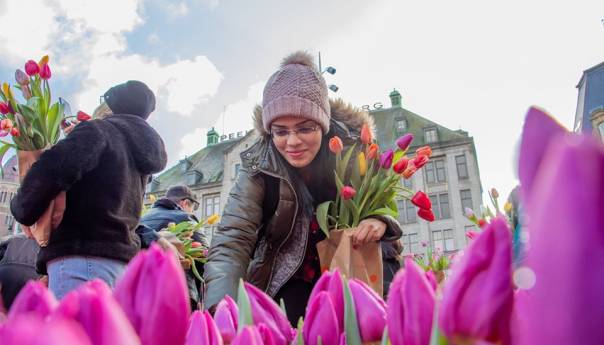 U Holandiji obilježen Nacionalni dan lala