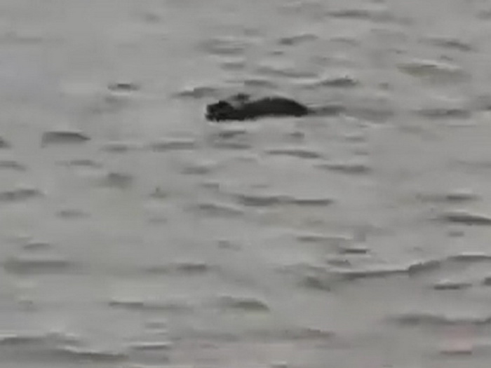 U Indiji nestao dječak (13), krokodil ga odvukao u rijeku