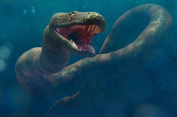 U Indiji otkriven fosil drevne divovske zmije