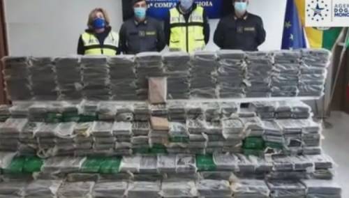 U Italiji pronađena tona čistog kokaina u kontejneru sa pistaćima