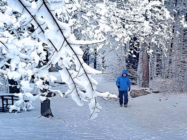 U jednom dijelu SAD haraju požari, a u drugom sniježna oluja