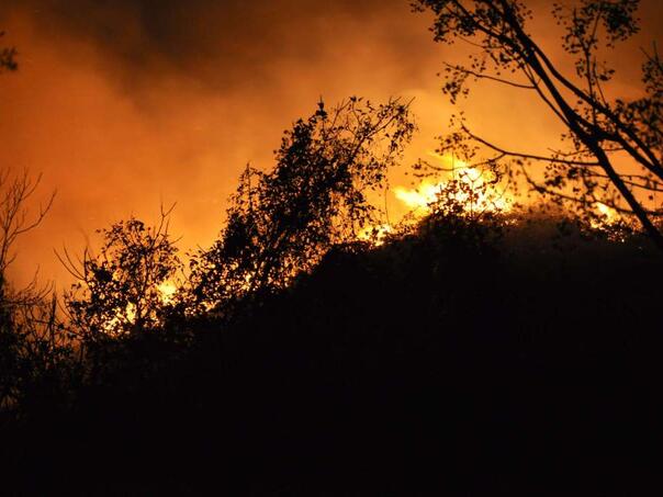 U Južnoj Koreji ponovo izbili požari