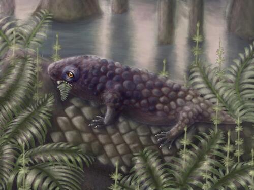 U Kanadi otkriven najstariji kopneni biljojed