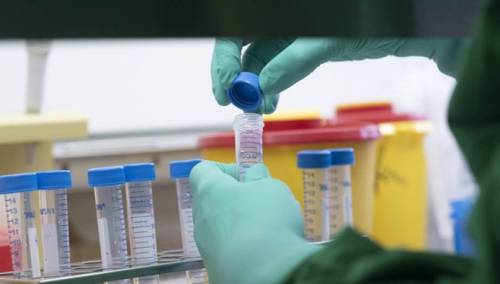 U Kantonu Sarajevo nema zaraženih koronavirusom