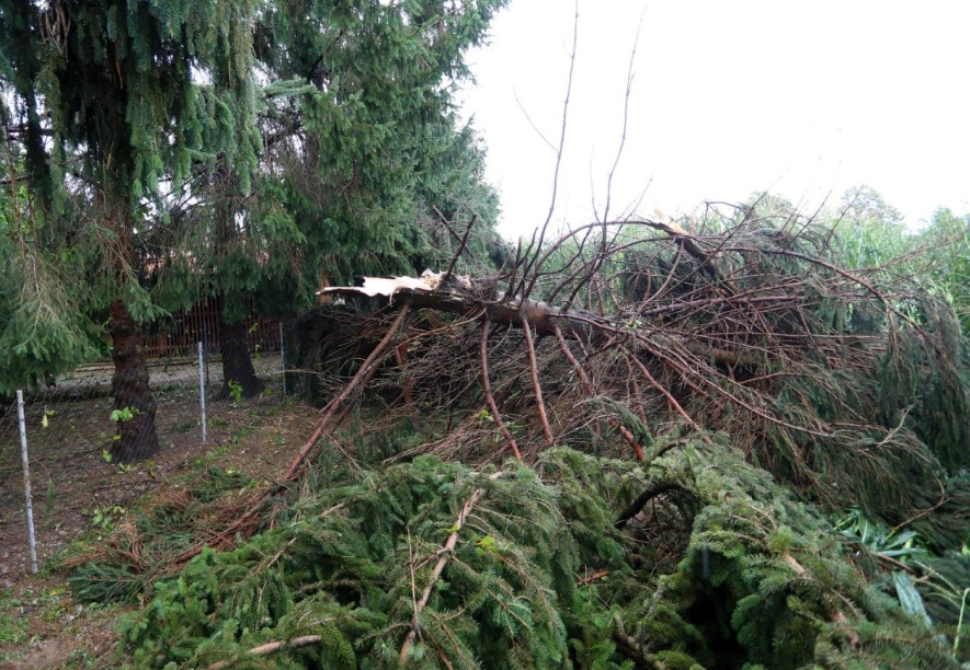 U Karlovcu nevrijeme rušilo stabla i telefonske stubove