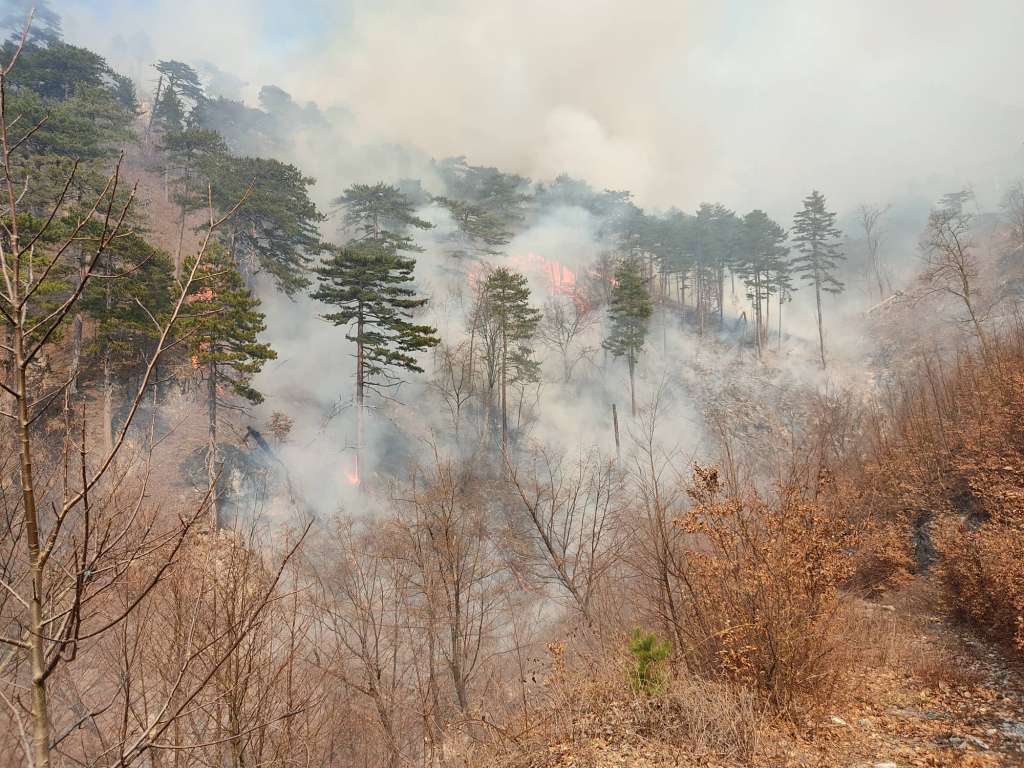 U Konjicu i Prozor-Rami aktivno pet požara