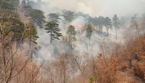 U Konjicu i Prozor-Rami aktivno pet požara