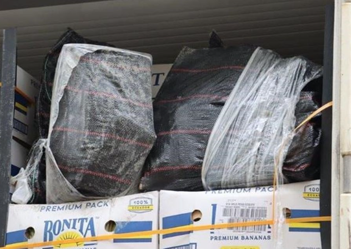 U kontejneru s bananama u riječkoj luci našli 85 kilograma kokaina
