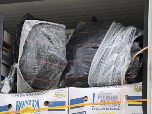 U kontejneru s bananama u riječkoj luci našli 85 kilograma kokaina