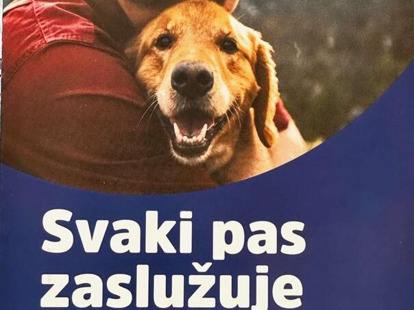 U KS trenutno na ulicama oko 6.000 napuštenih pasa, broj u porastu