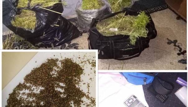 U kući pronašli 19,5 kg marihuane, policija traga za Dobojlijom