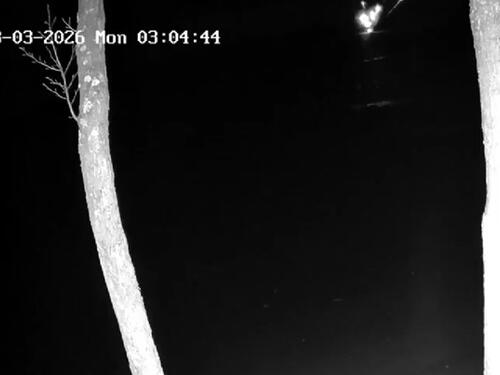 U Litvaniji se srušio dron, premijerka: Došao je iz Ukrajine