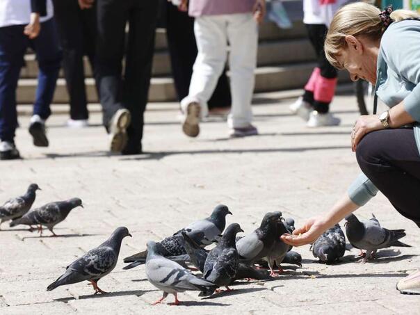 U martu u FBiH 7,2 posto manje turista u odnosu na mart 2024., najviše noćenja turista iz Hrvatske