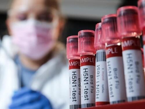 U Meksiku zabilježen prvi smrtni slučaj od ptičje gripe